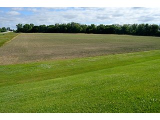 Property photo 20 - FARM & LAND AUCTION - 125+/- ACRES OFFERED IN 5 TRACTS IN EAST ALLEN COUNTY, INDIANA
